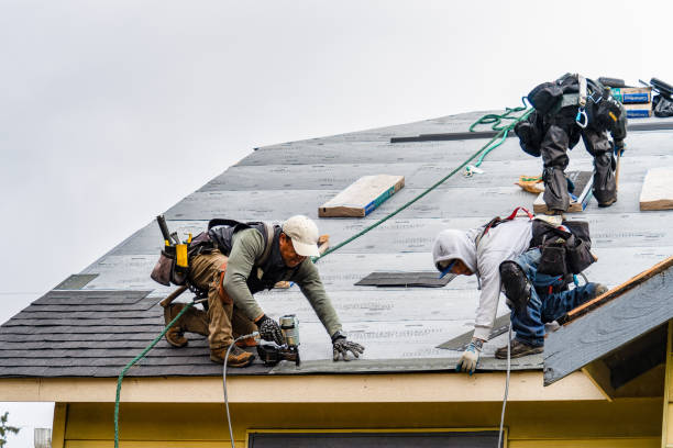 Professional Storm Damage Roof Repair technician working in Blanchard, IA
